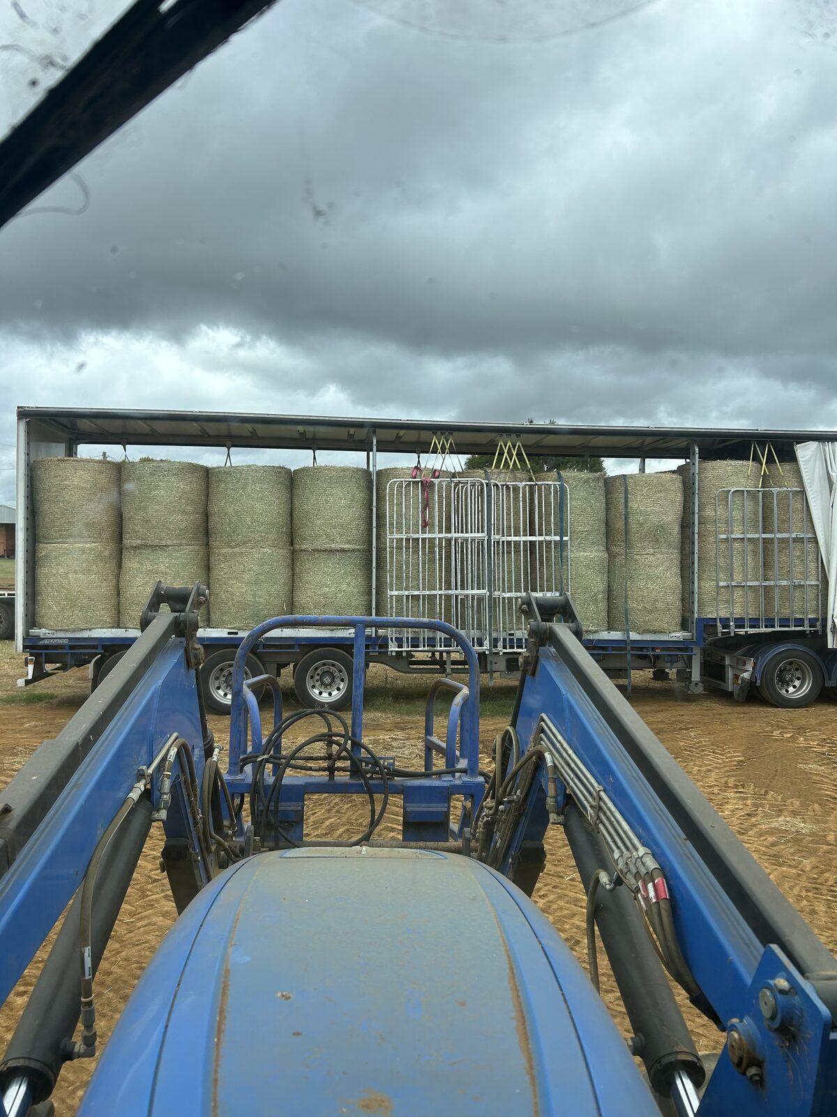 A loader stacking round bales onto a trailer in the yard