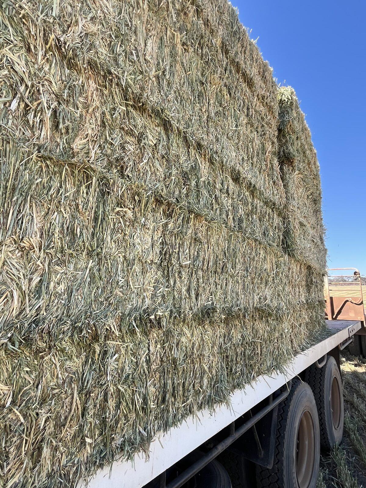 Big square bales stacked tight on the truck bed against a clear sky