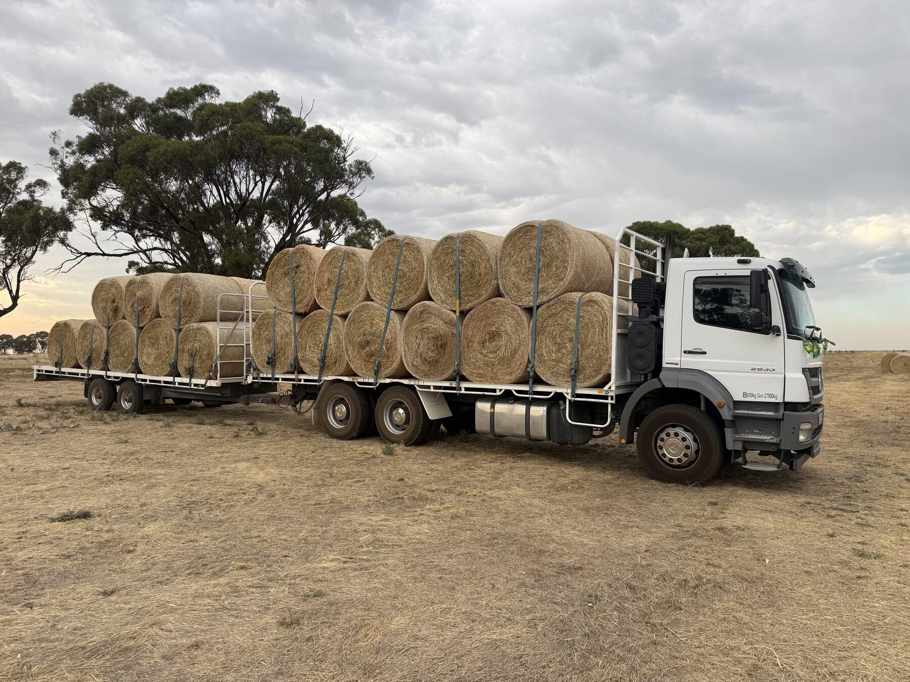 A Farm Direct truck and trailer loaded with round bales in the paddock at dusk