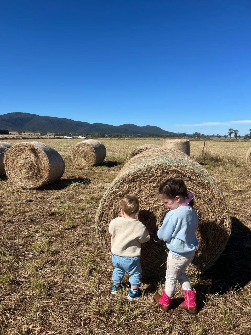 Two of the kids clambering on a round bale in the paddock, doing quality control