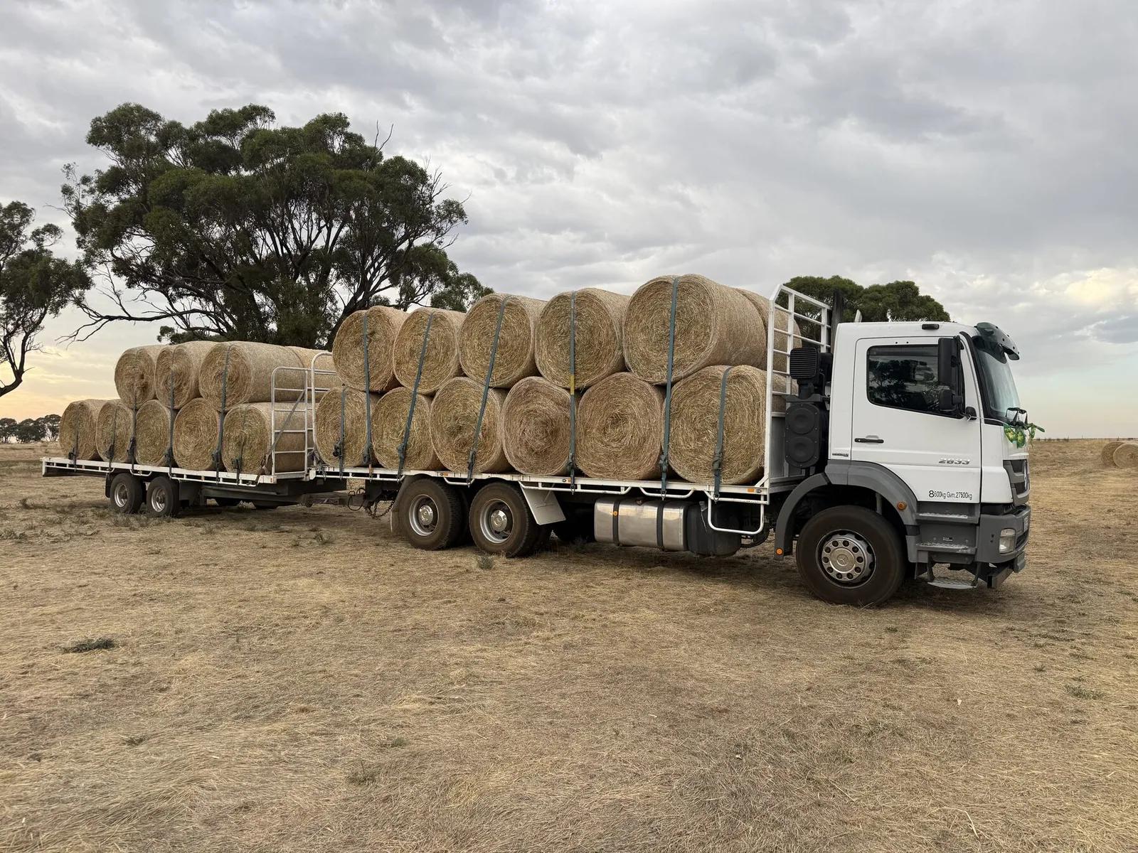 A Farm Direct truck and trailer loaded with round bales in the paddock at dusk