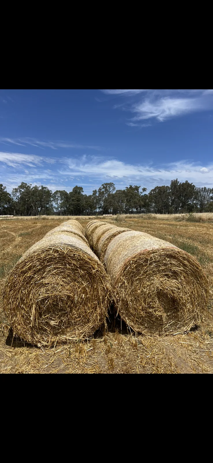 4x4 Oaten Rolls, Farm Direct