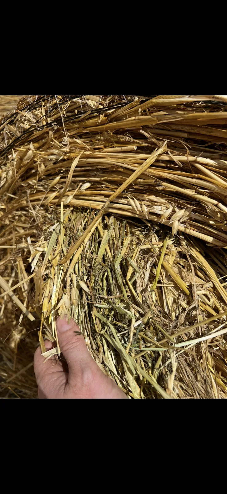 4x4 Oaten Rolls, Farm Direct Stock Feeds — photo 2