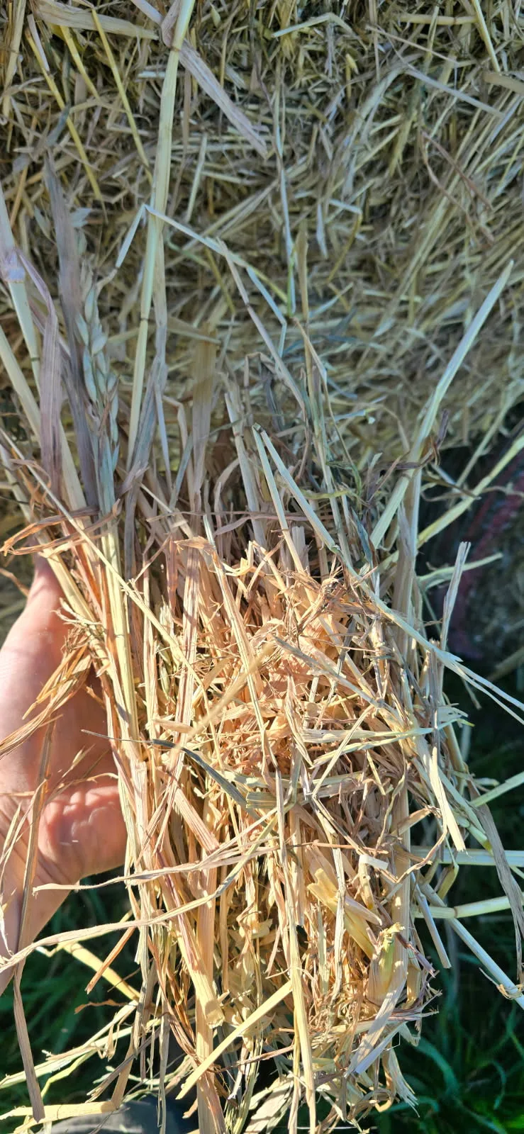 4x4 Oaten/ Rye, Farm Direct