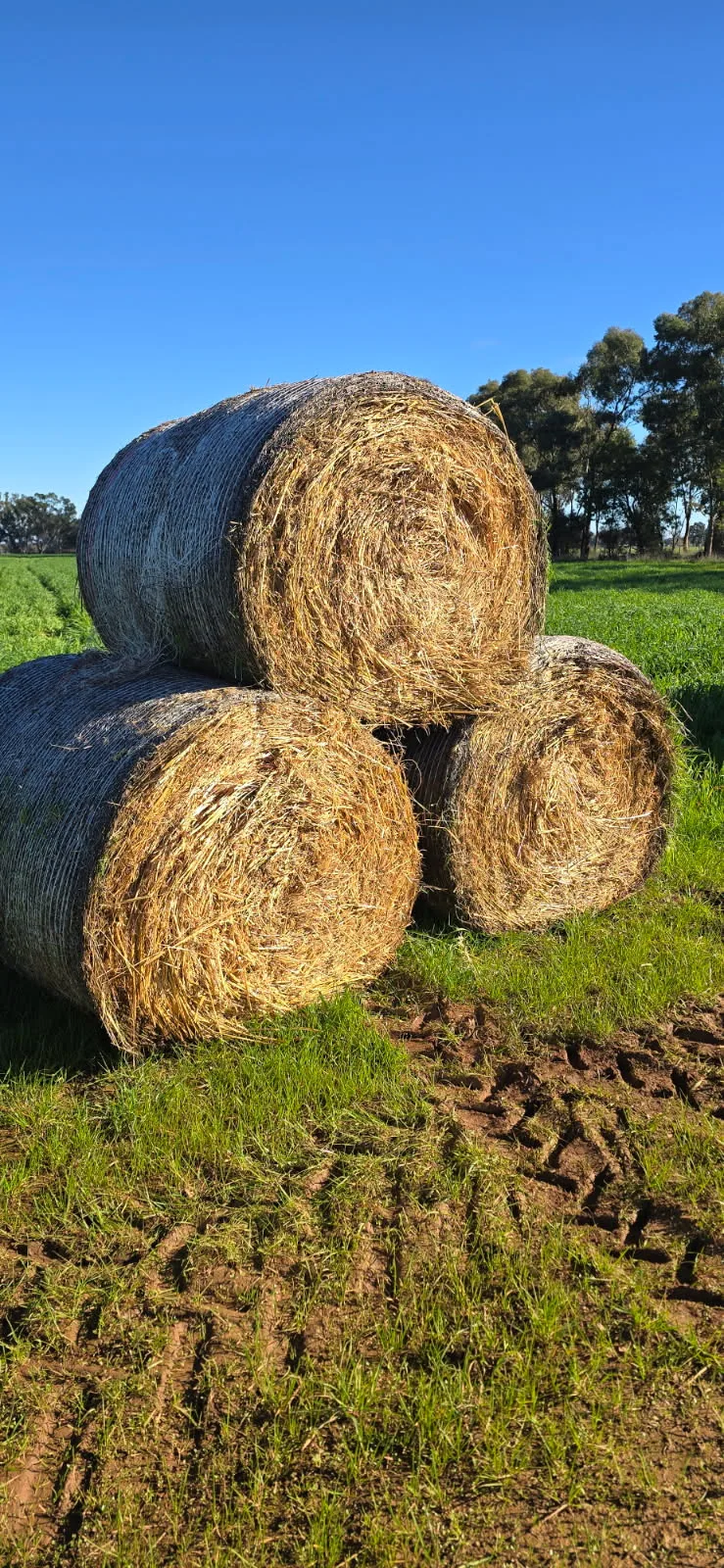 4x4 Oaten/ Rye, Farm Direct Stock Feeds — photo 3