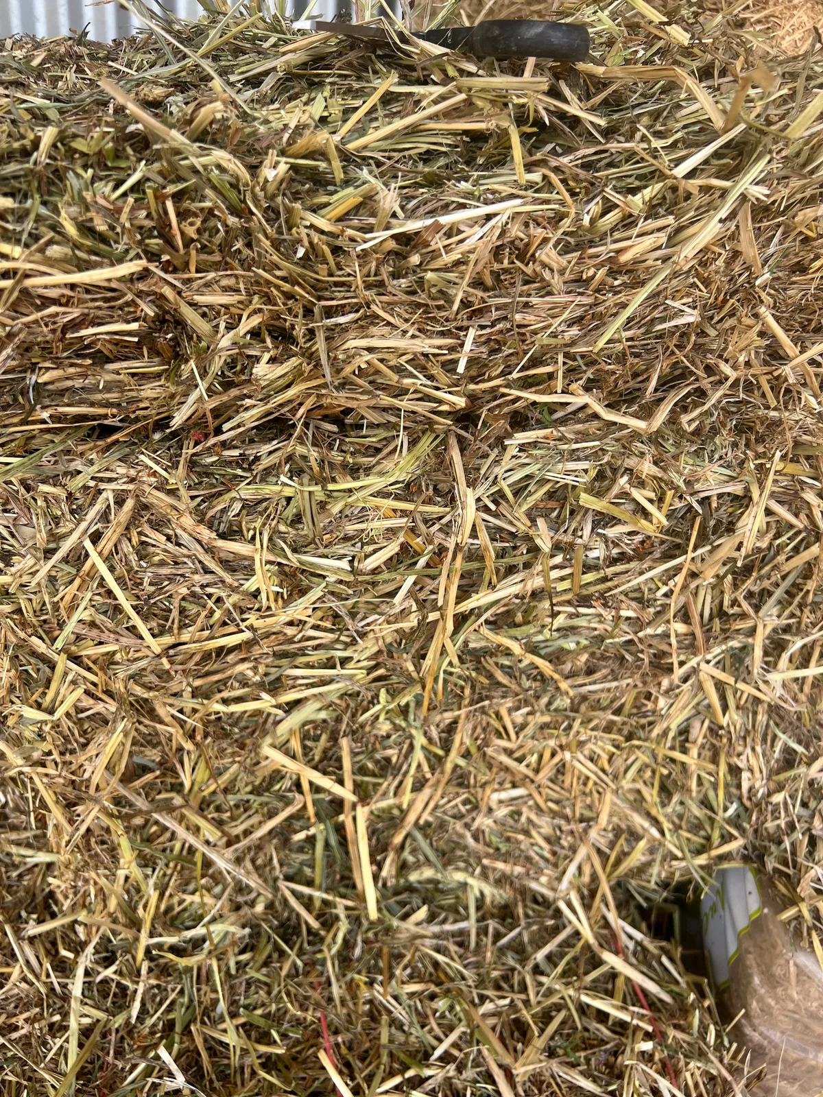 Low sugar grass/ clover, Farm Direct