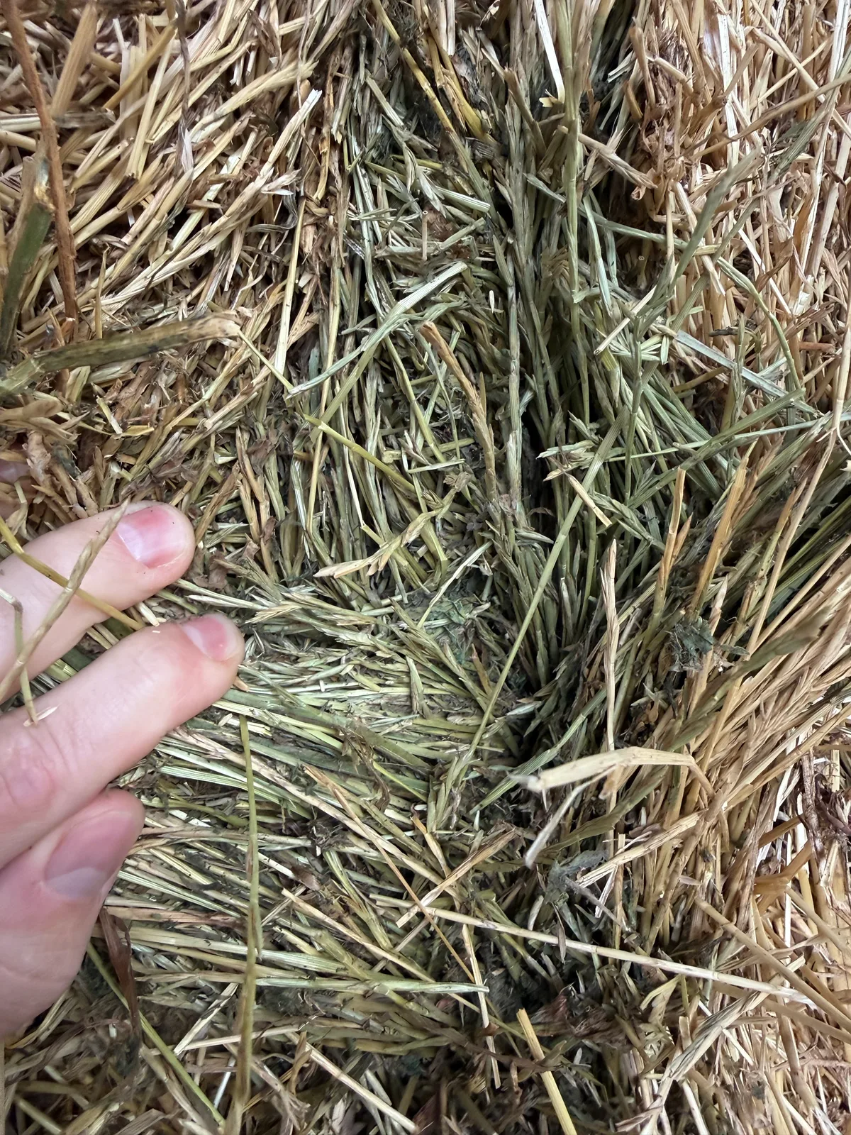 Lucerne/ Grass mix, Farm Direct Stock Feeds
