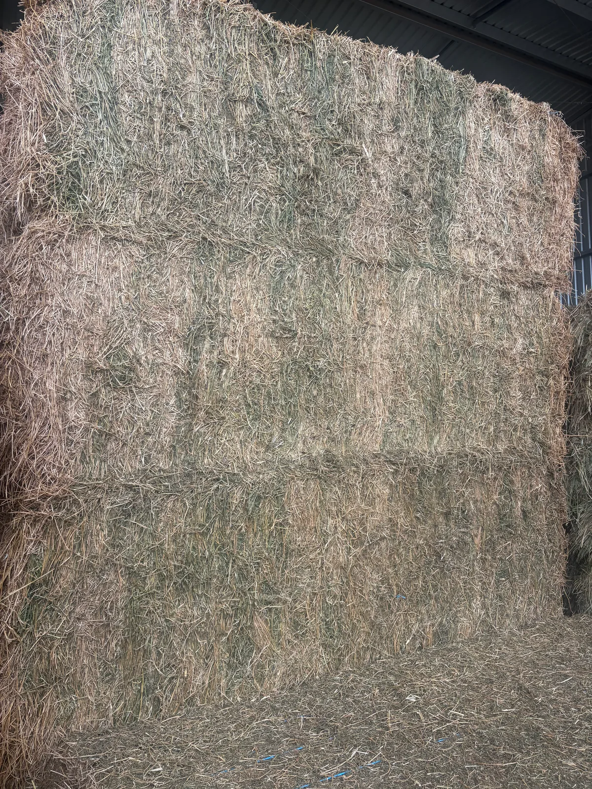Lucerne, Farm Direct Stock Feeds