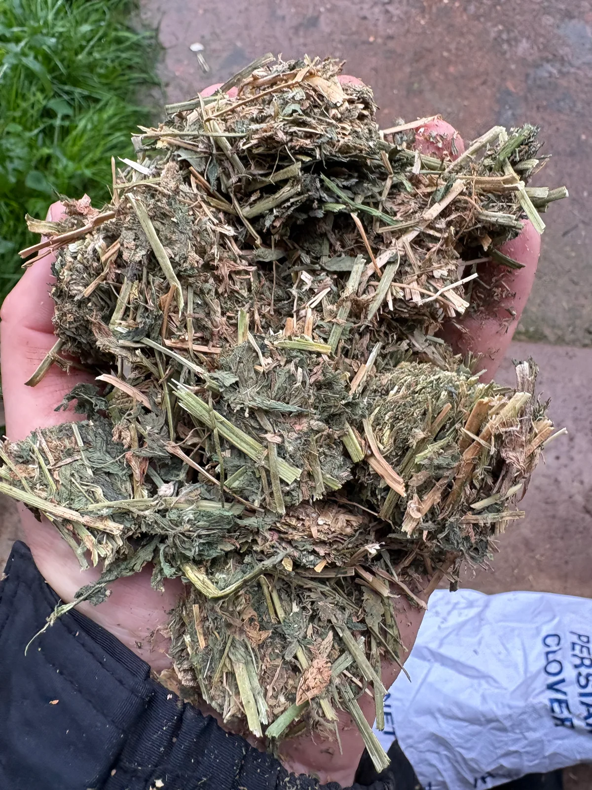 Lucerne, Farm Direct Stock Feeds — photo 2