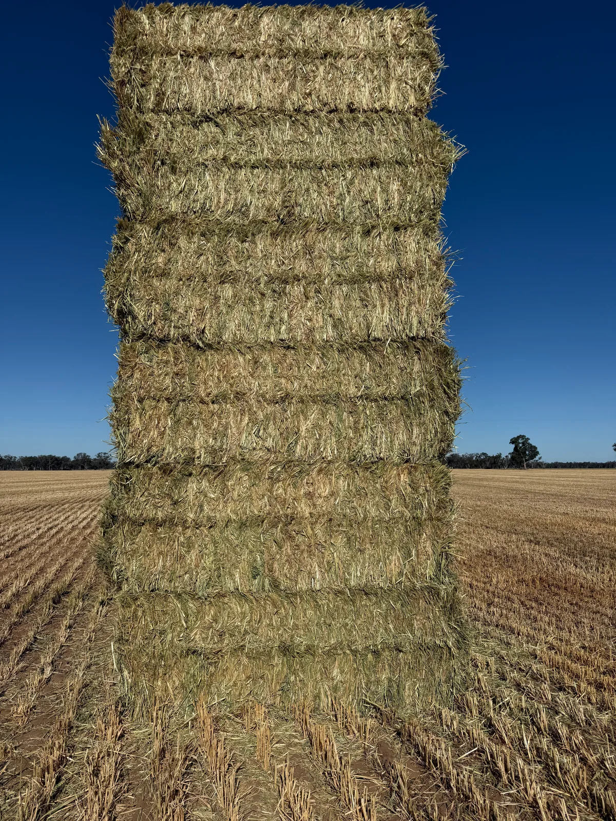 Oaten 26 NSW, Farm Direct Stock Feeds — photo 4