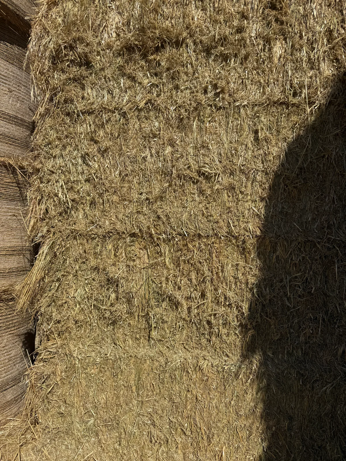 Oaten B Shedded, Farm Direct Stock Feeds — photo 2
