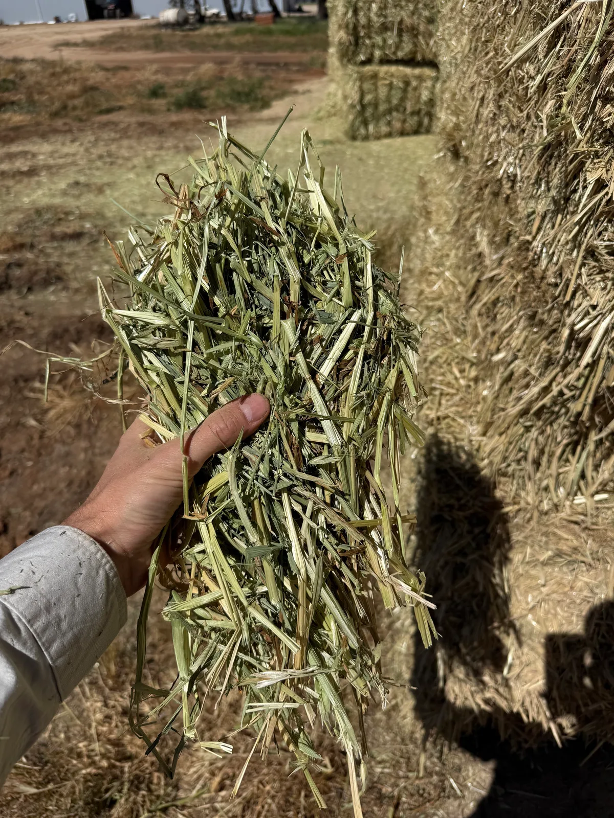 Oaten Sth NSW, Farm Direct Stock Feeds — photo 2