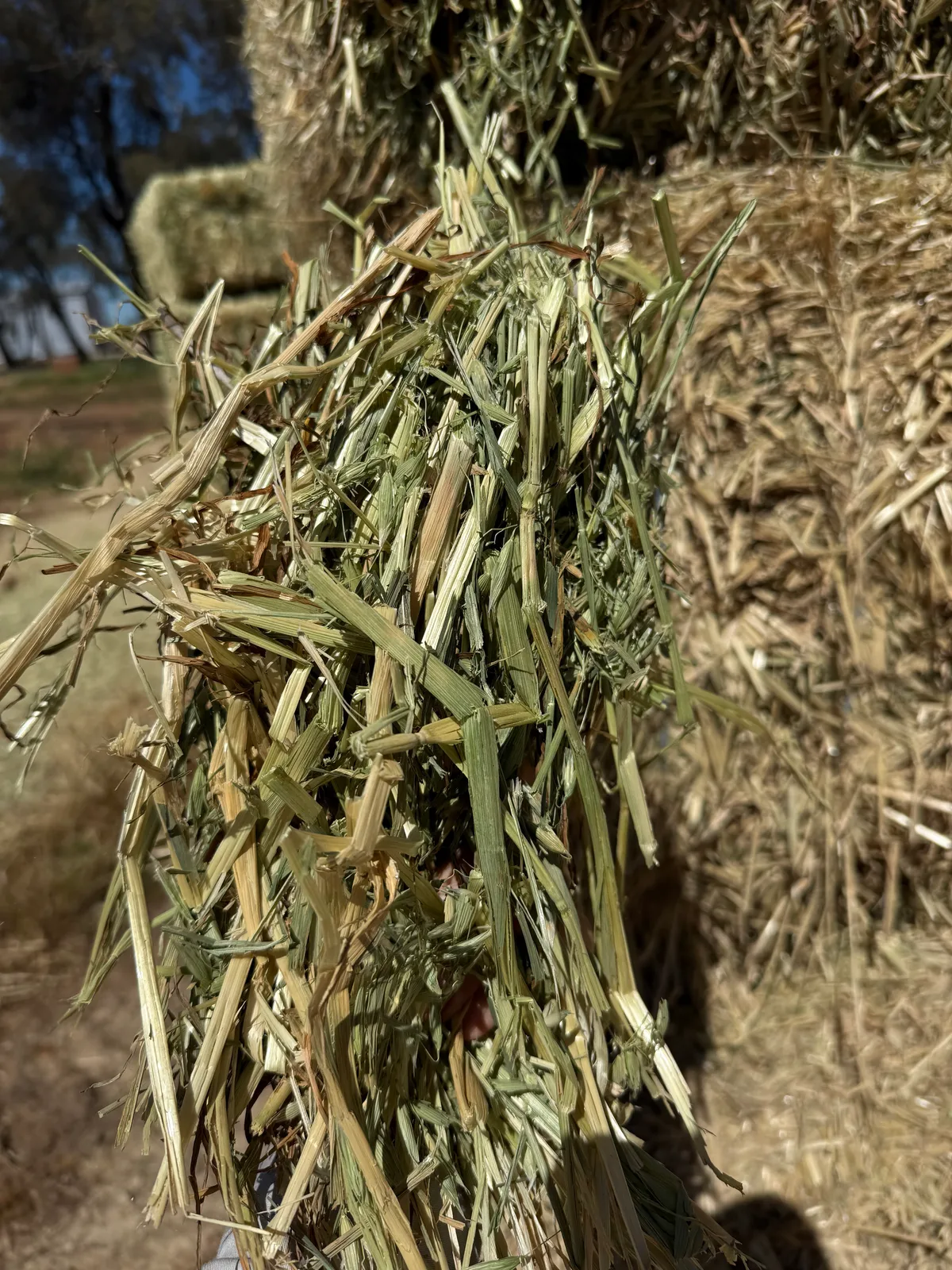 Oaten Sth NSW, Farm Direct Stock Feeds