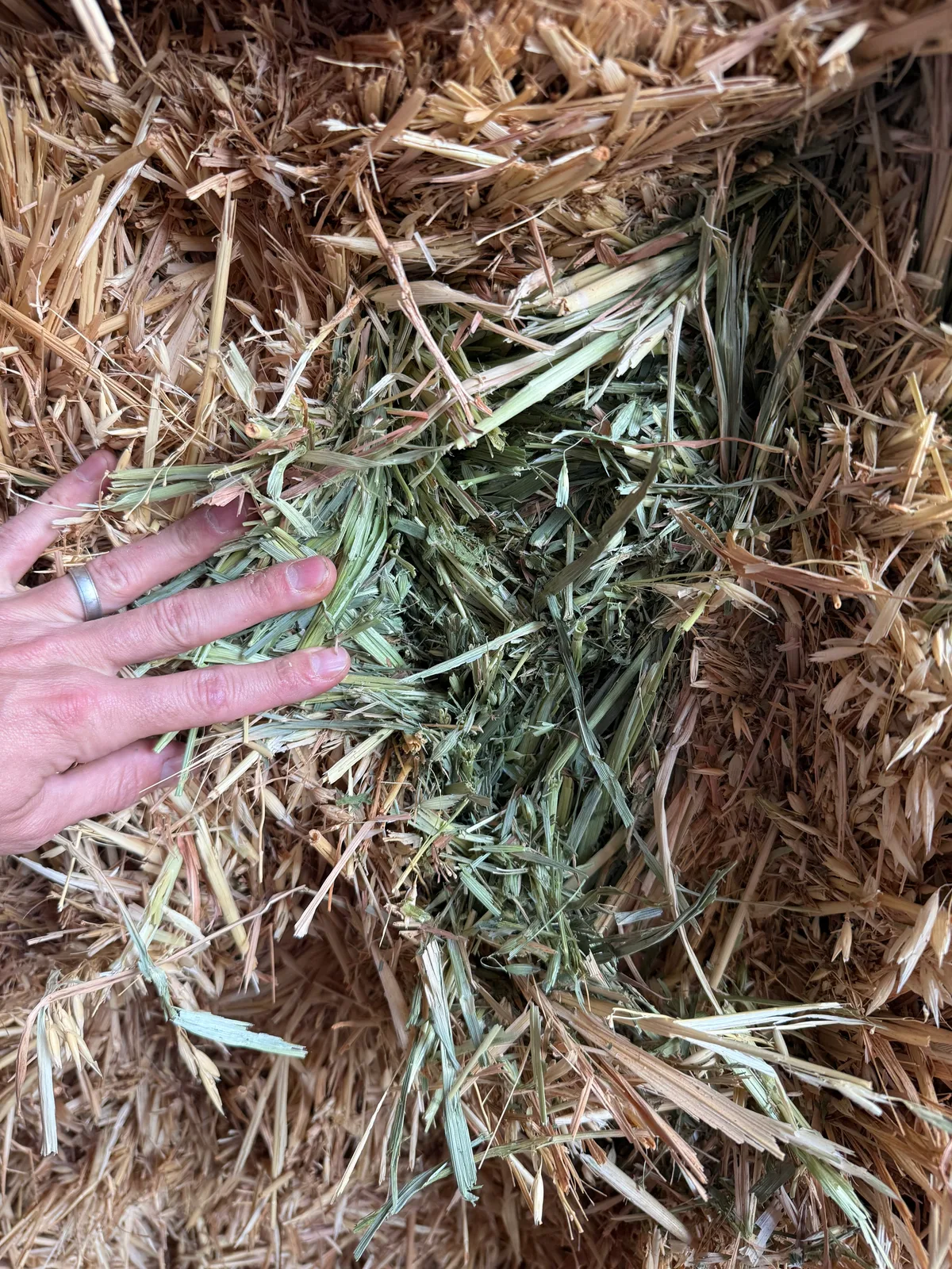 Oaten / Vetch Mix Hay, Farm Direct Stock Feeds — photo 3