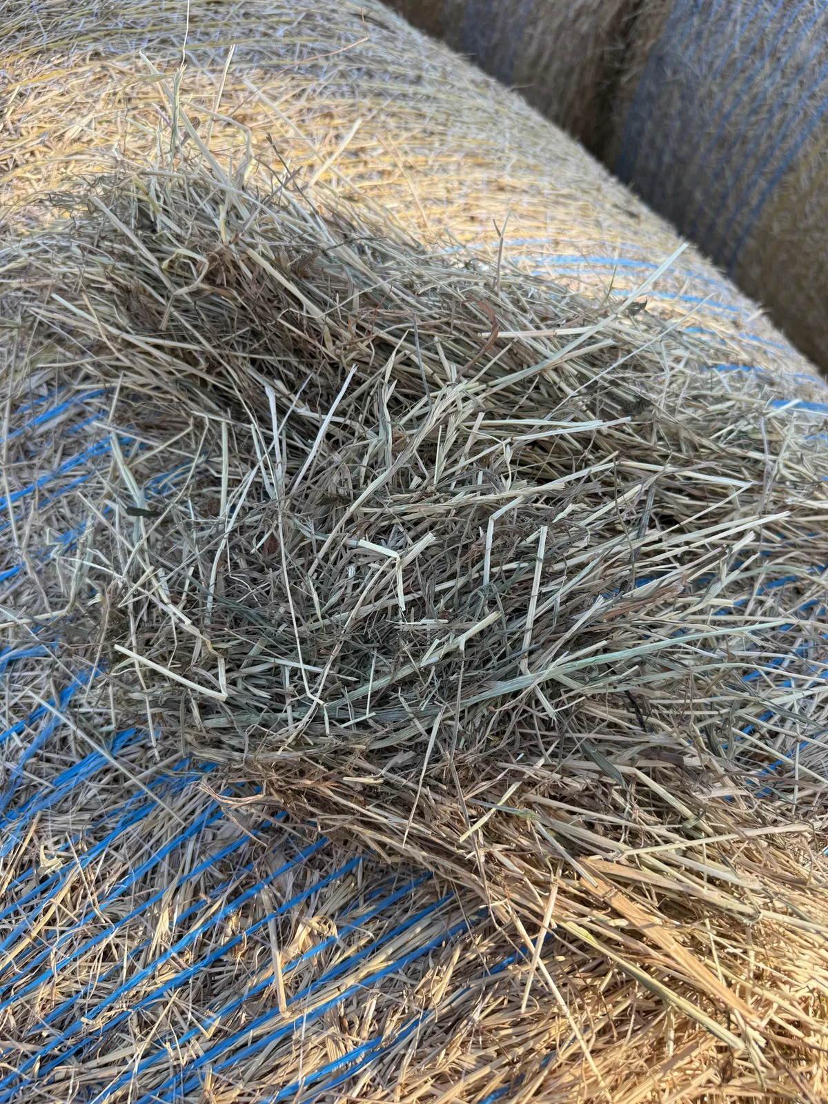 Rye Grass Roll 4x4, Farm Direct Stock Feeds — photo 3