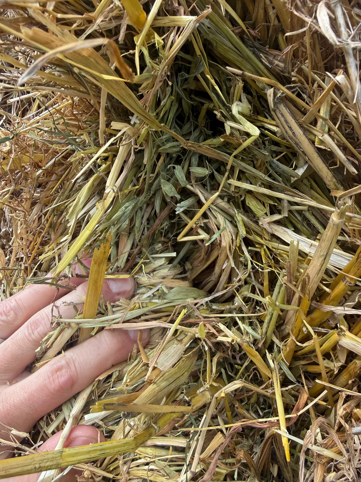 Unshedded Oaten, Farm Direct Stock Feeds