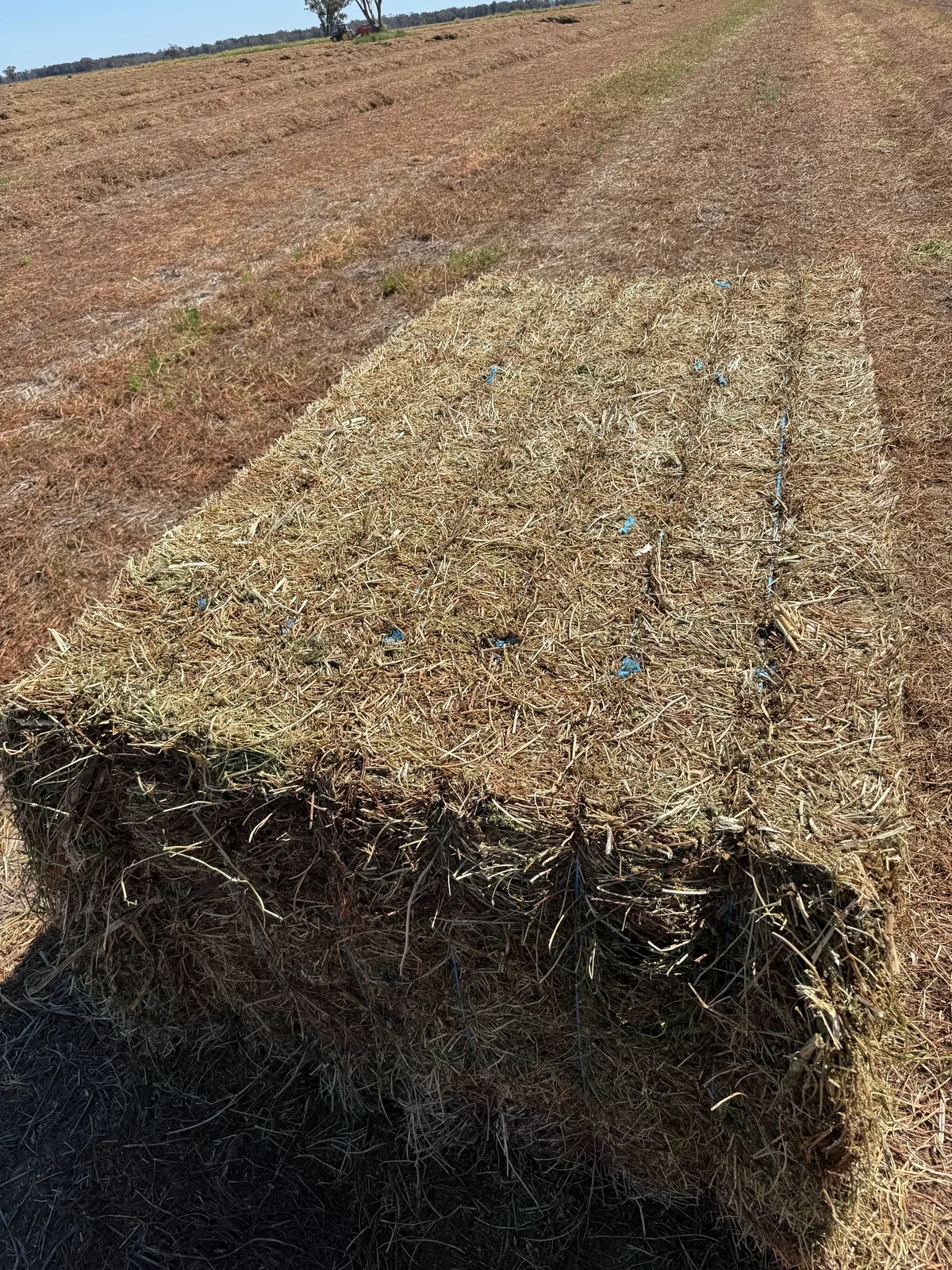Vetch hay 26 NSW, Farm Direct Stock Feeds — photo 3