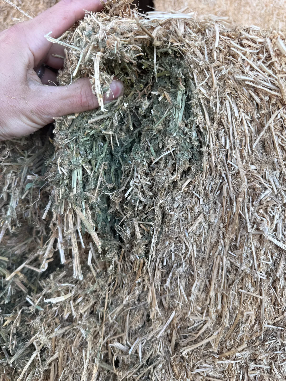 Vetch Hay, Farm Direct Stock Feeds — photo 2