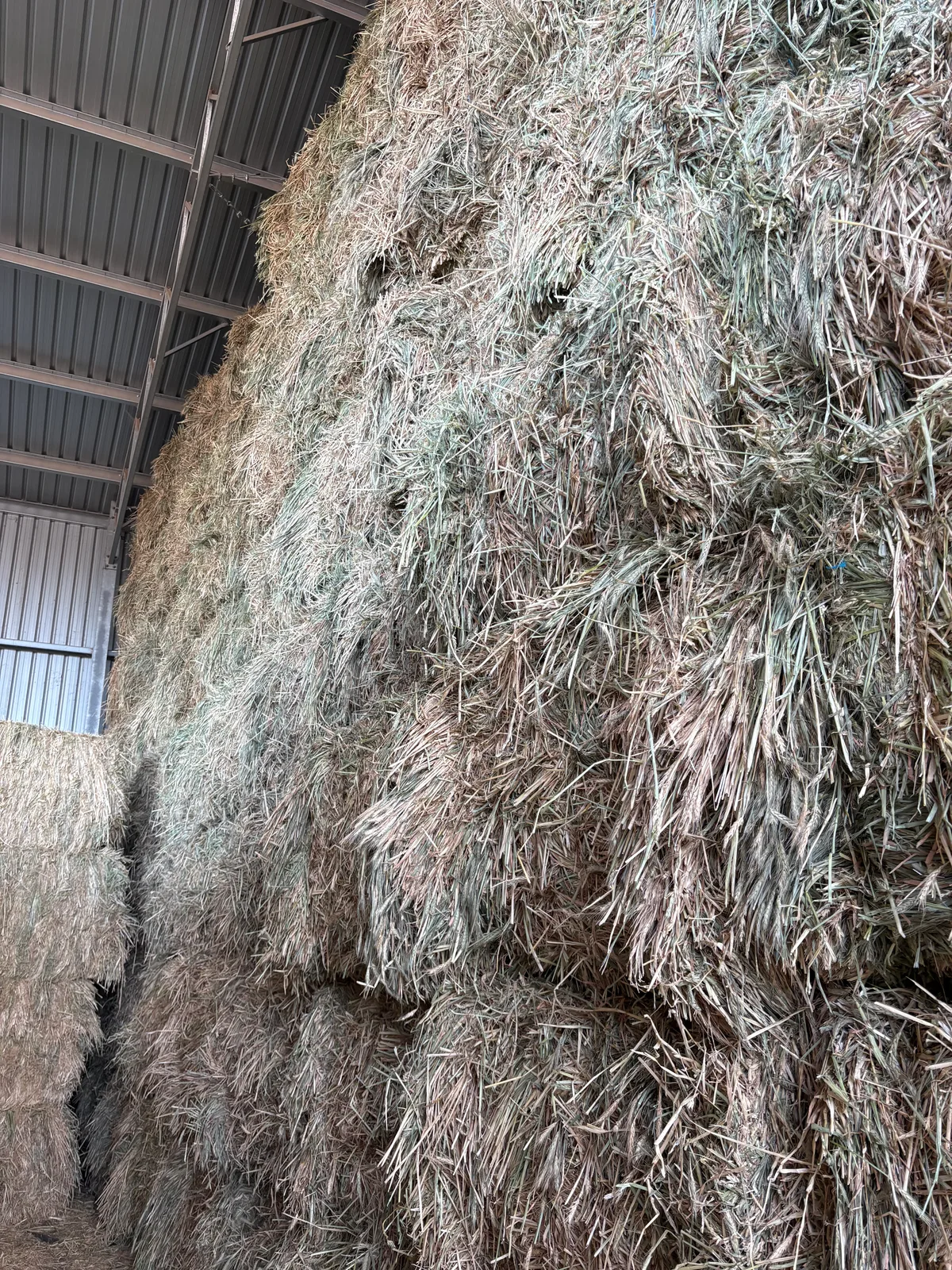 Wheaten, Farm Direct Stock Feeds — photo 2
