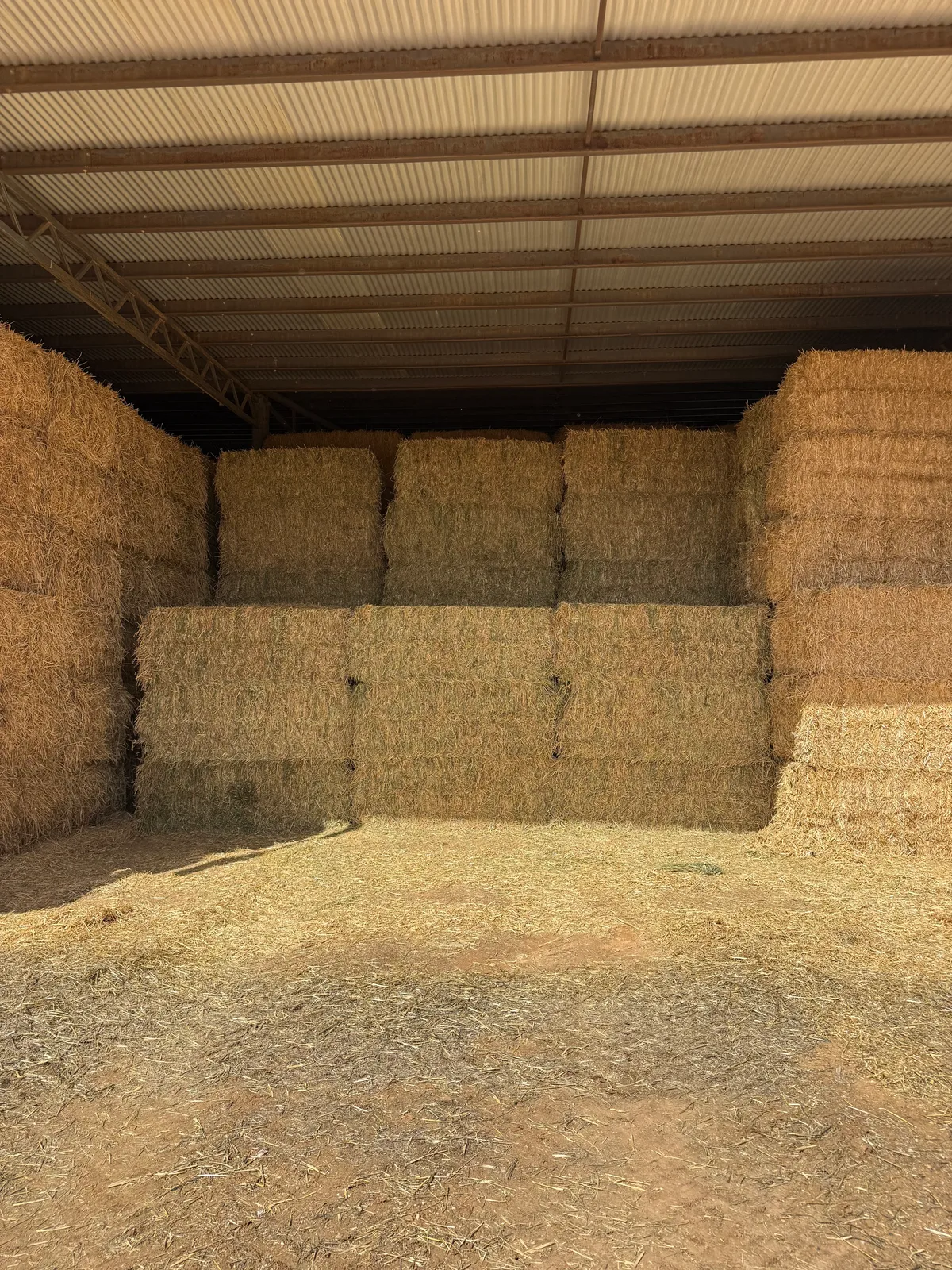 Lucerne / Wheaten Mix (beardless), Farm Direct Stock Feeds — photo 3
