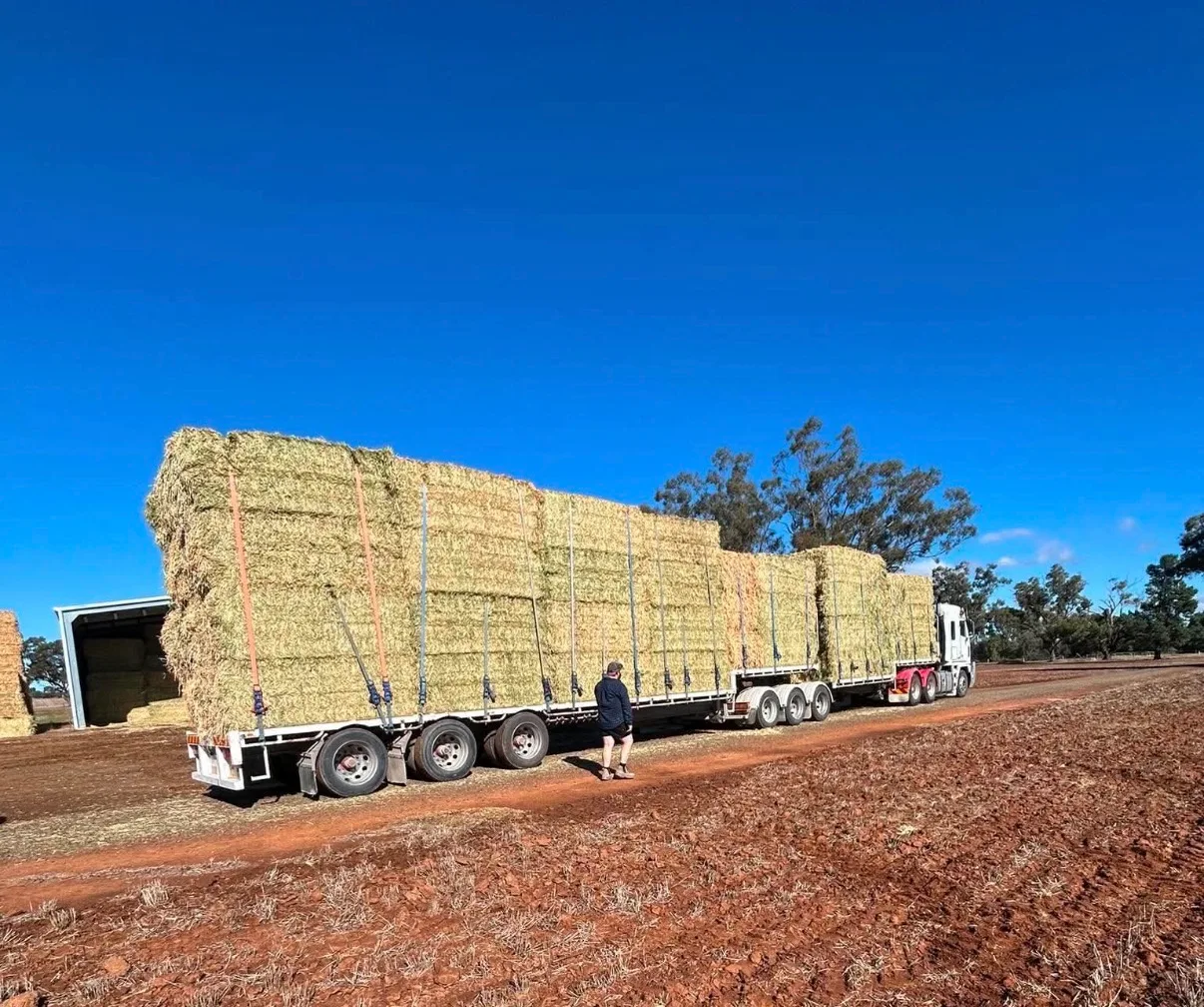 Wheaten ( A ), Farm Direct