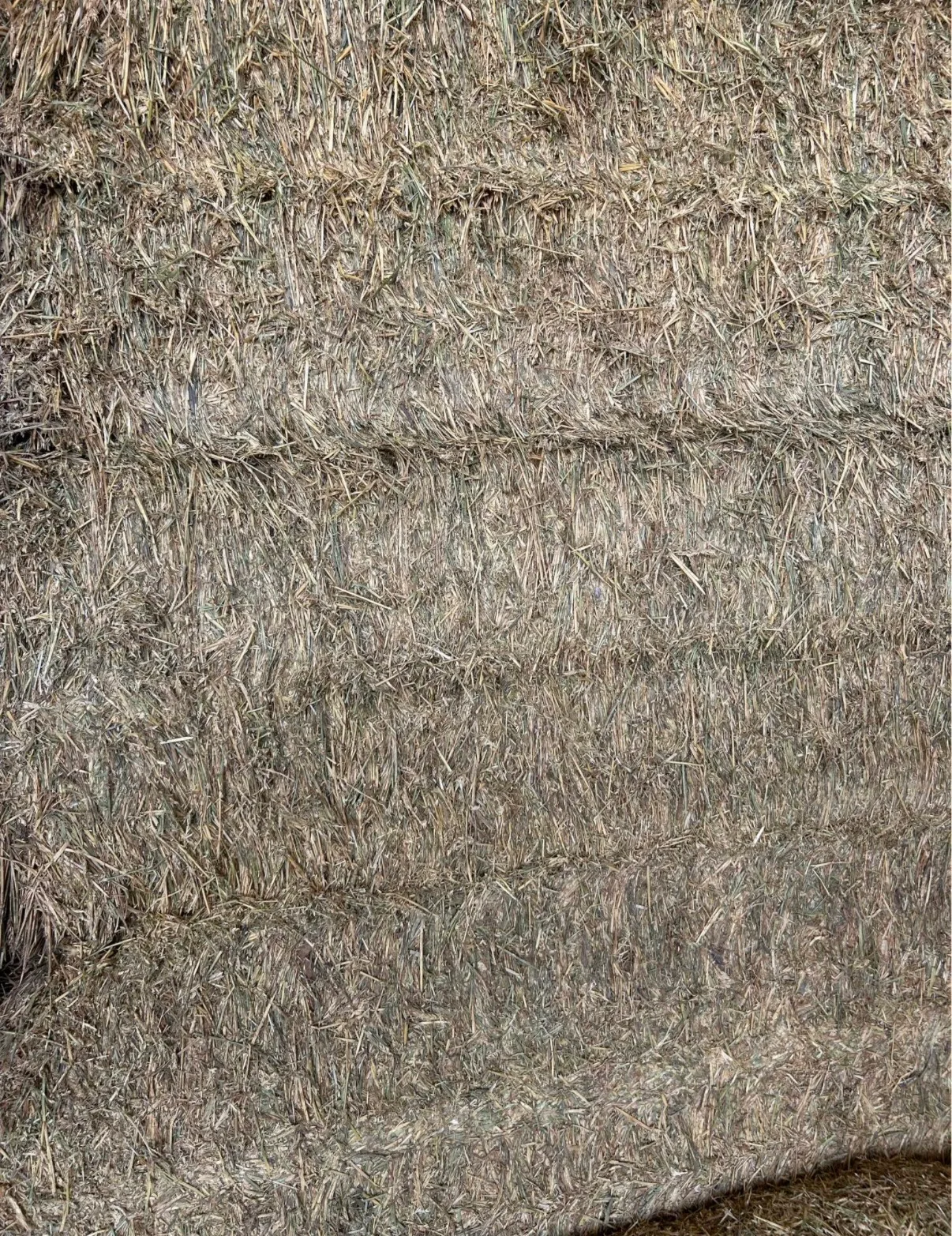 Wheaten ( A ), Farm Direct Stock Feeds — photo 2